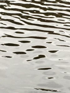 A2EA3A02-41B8-4D3B-9477-75FF47C42B85