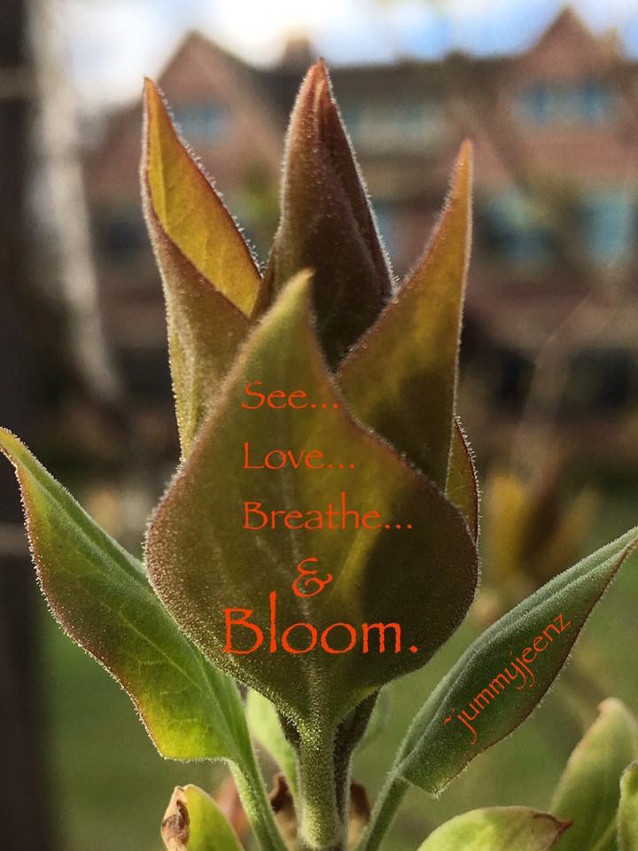 CB4095E4-0DBC-495A-AE90-CBCB5B743BE9