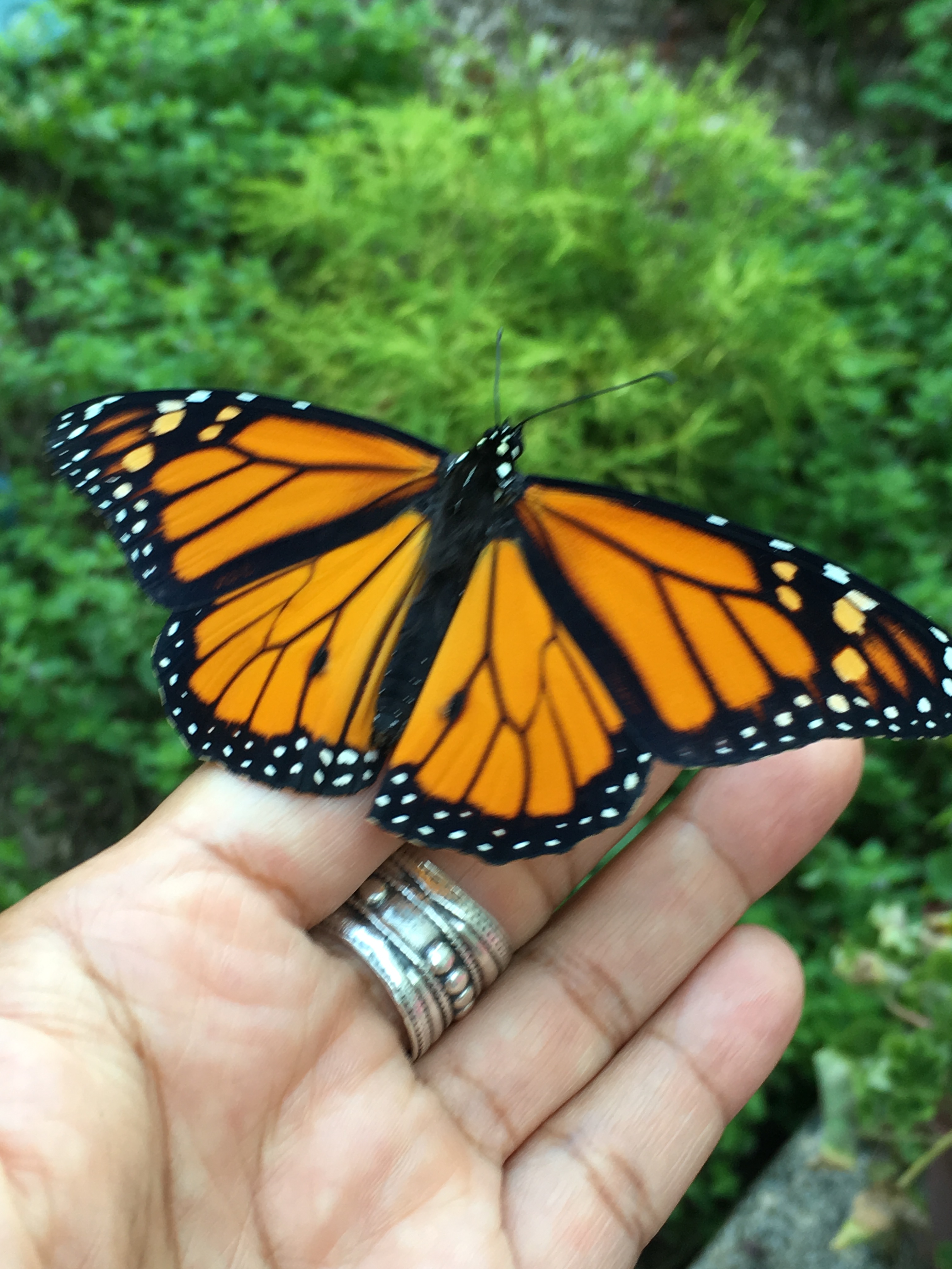 16AC5CEB-9FD8-4999-9A97-C50454B127D6