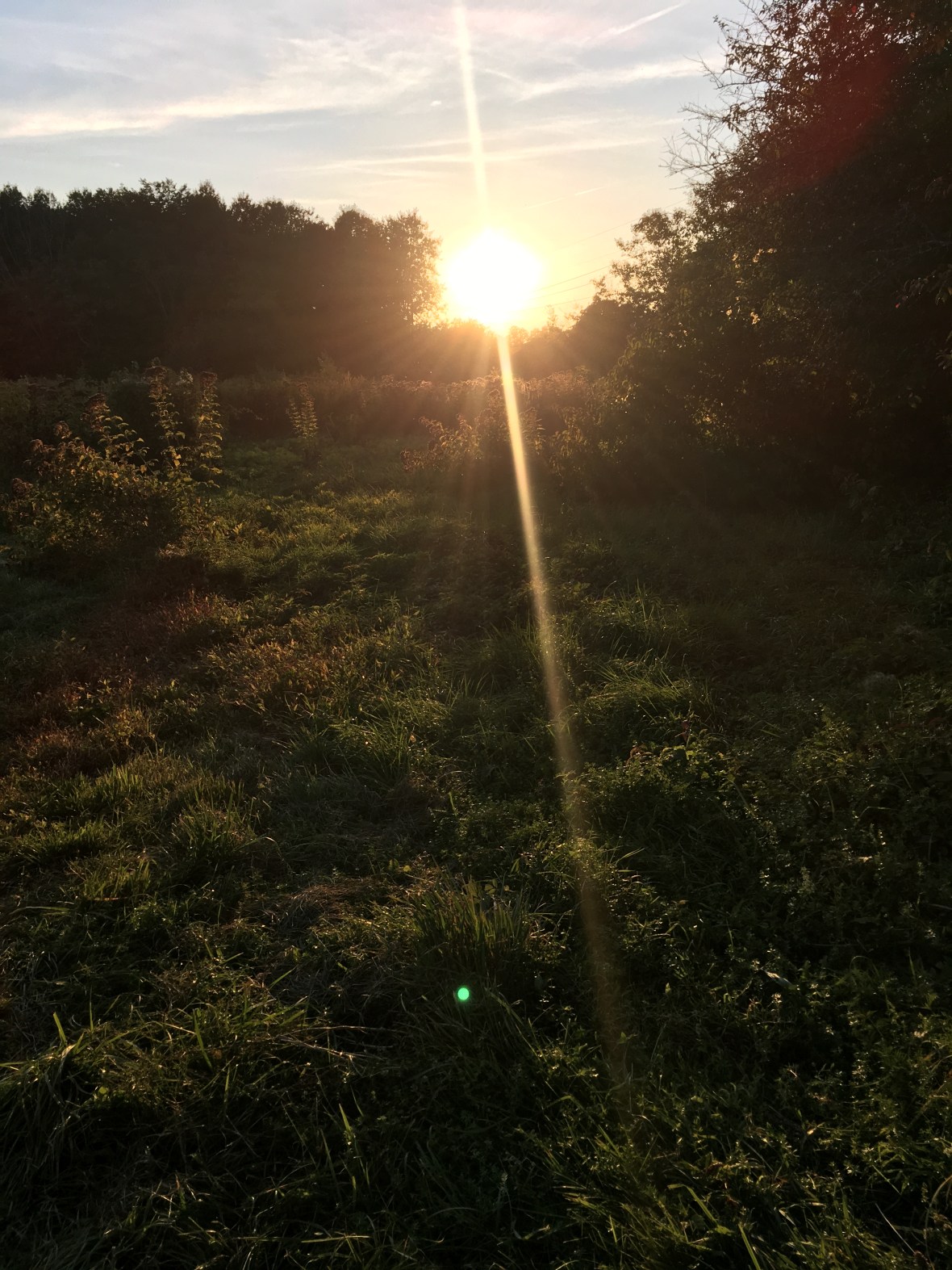 BF566082-D0CB-46D9-9677-F709FC565BC7