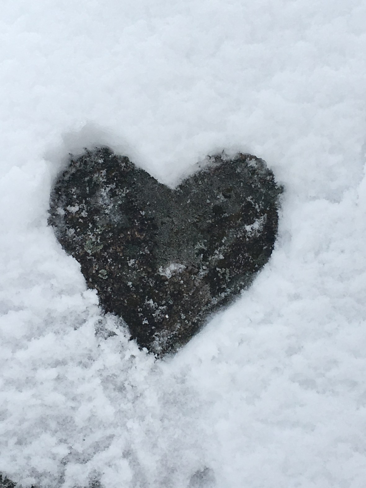 1089A87C-3171-41C7-93D1-1F32CE1C1B0B