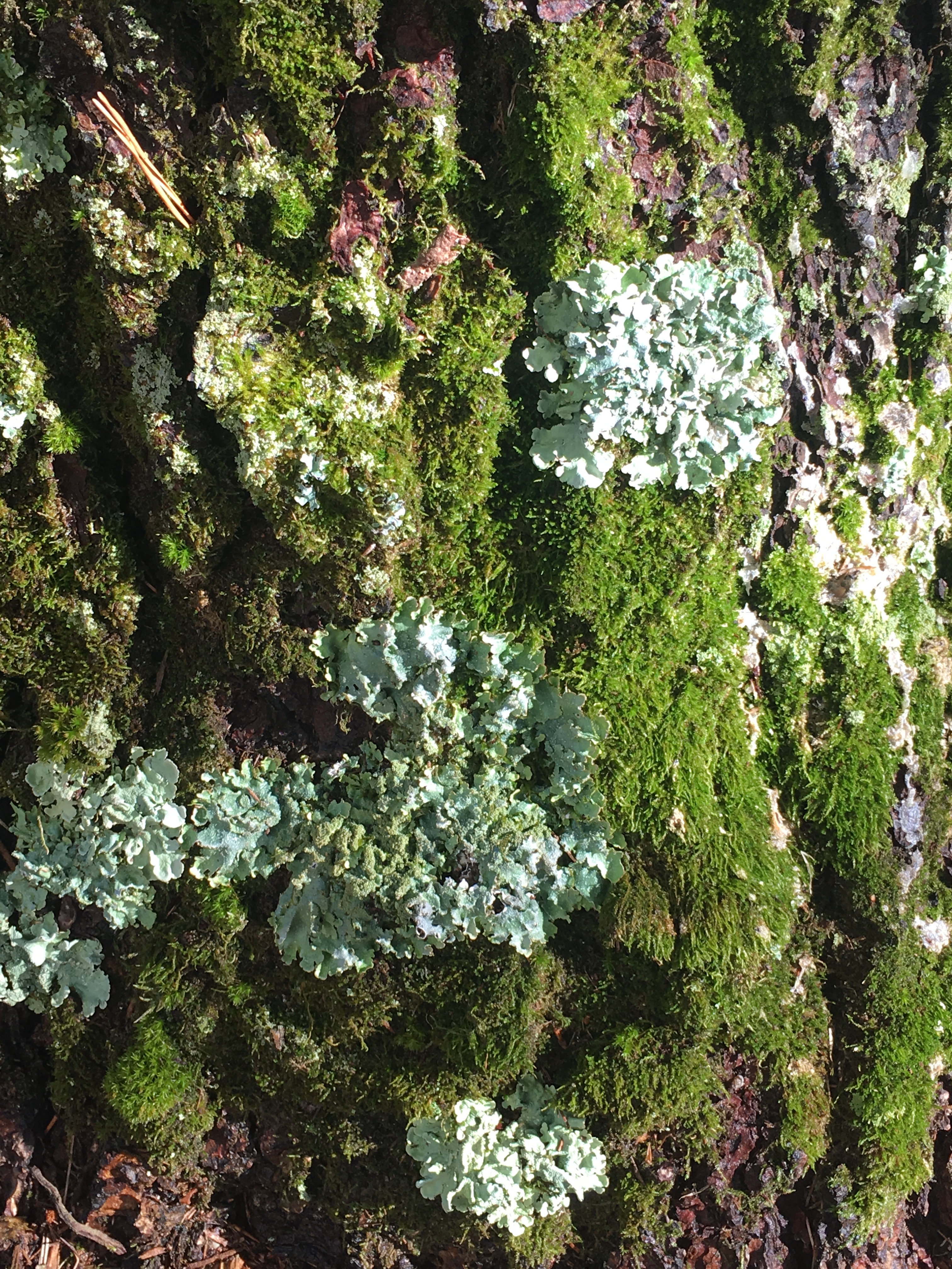 AFE9F893-5BFA-493E-910F-A4F1BB3FF729