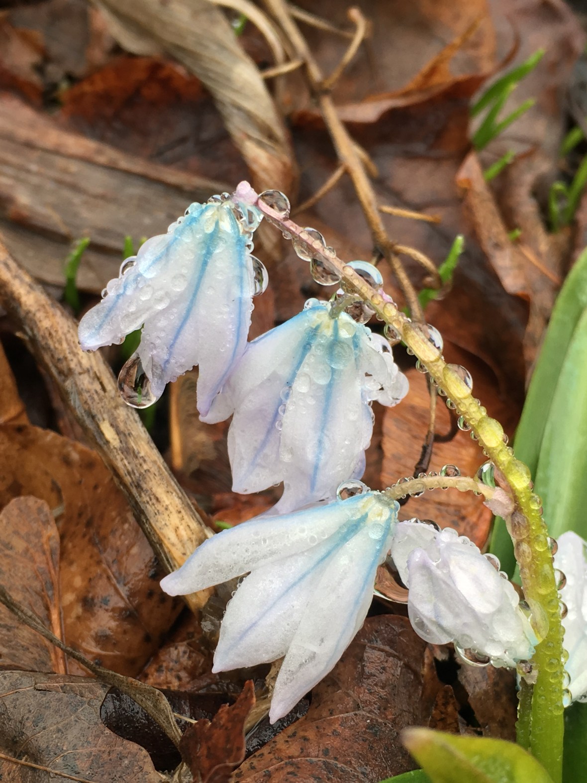 963919D4-D411-4940-B38B-068F5014892C