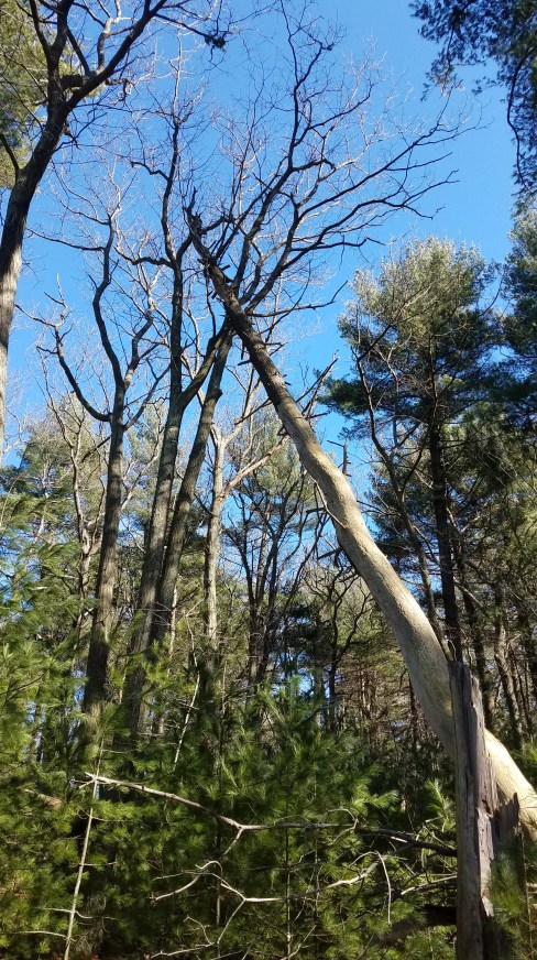 E5B50E9F-A1B2-4875-B81F-B718BC9A617F