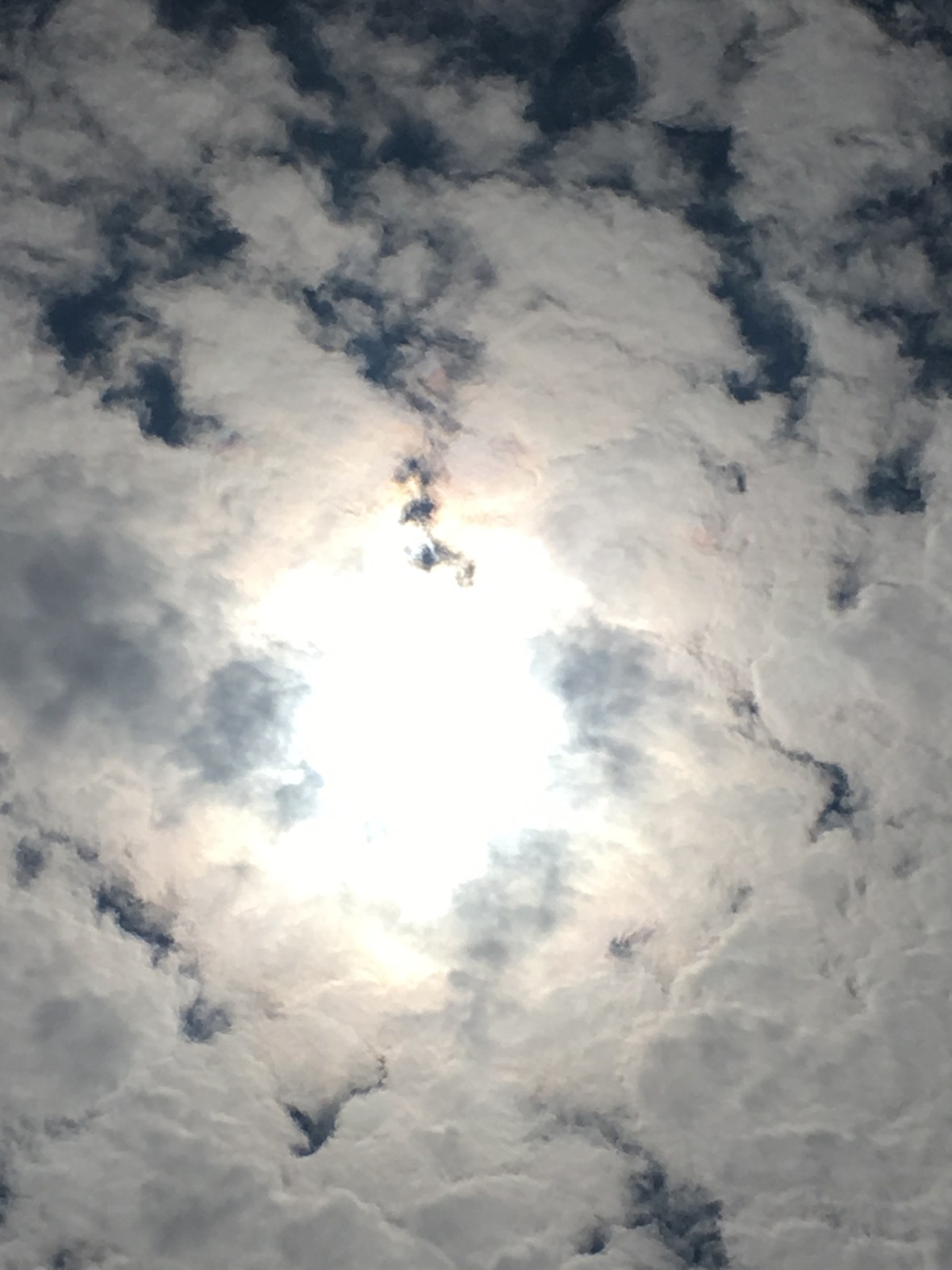 079EC352-BB64-4ECF-AF77-E16EBB49757B