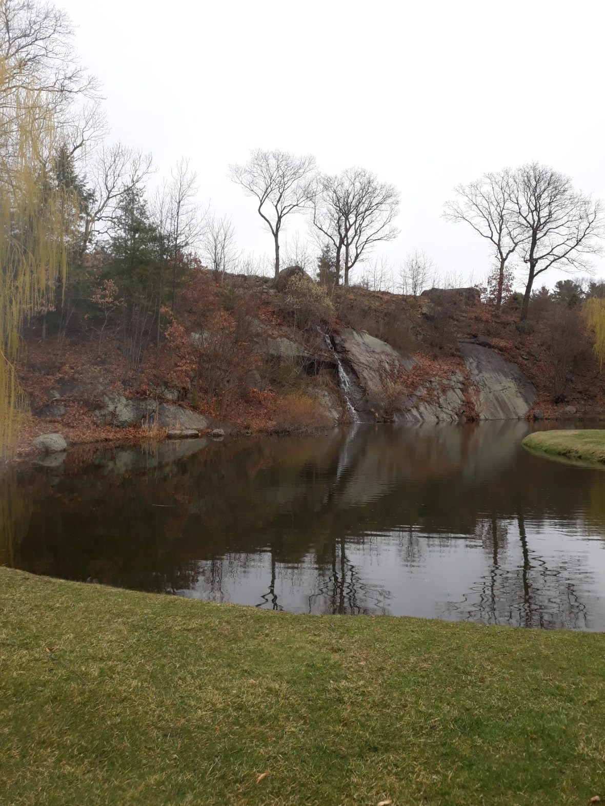 5CDC97E9-E085-498B-9E7F-64D8801F6235