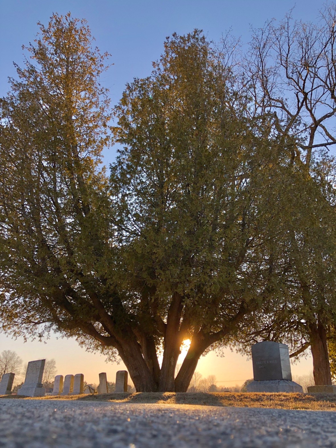 FD769115-A7C8-44BC-9532-D1B39BEB3180