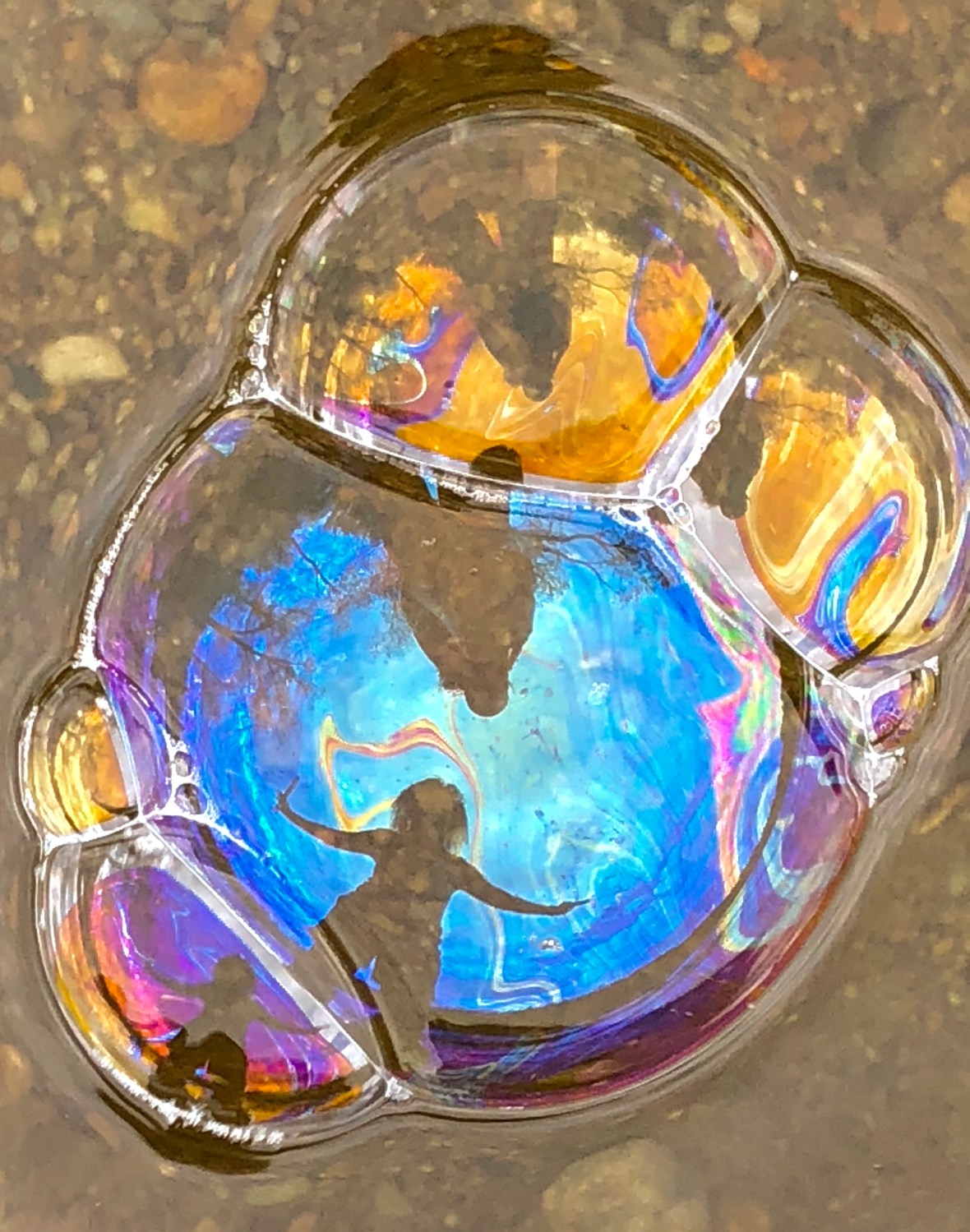 06BCFC93-30B2-49E9-A8A3-15B157935888