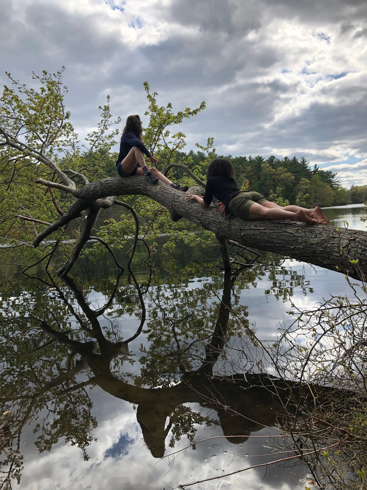 6BD06B7B-F497-4957-AF93-21F773E16EC8