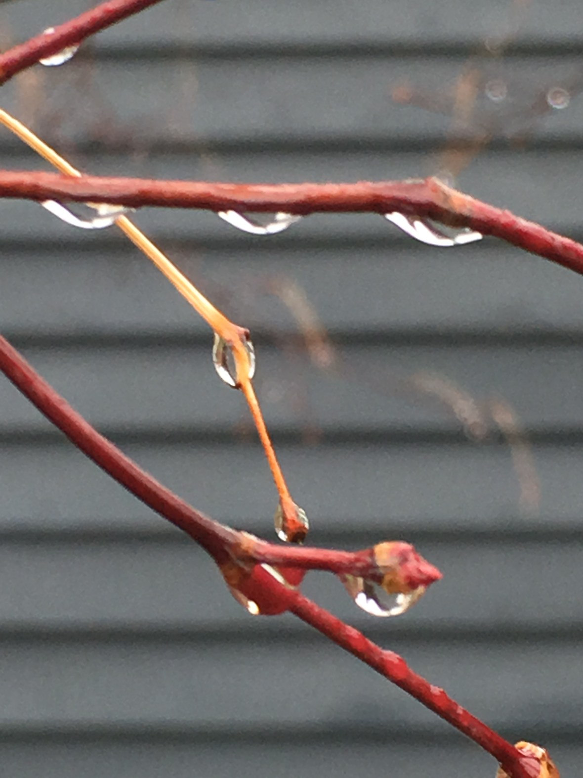 5EDF98E4-AA2D-43DF-8469-52CA6719428B