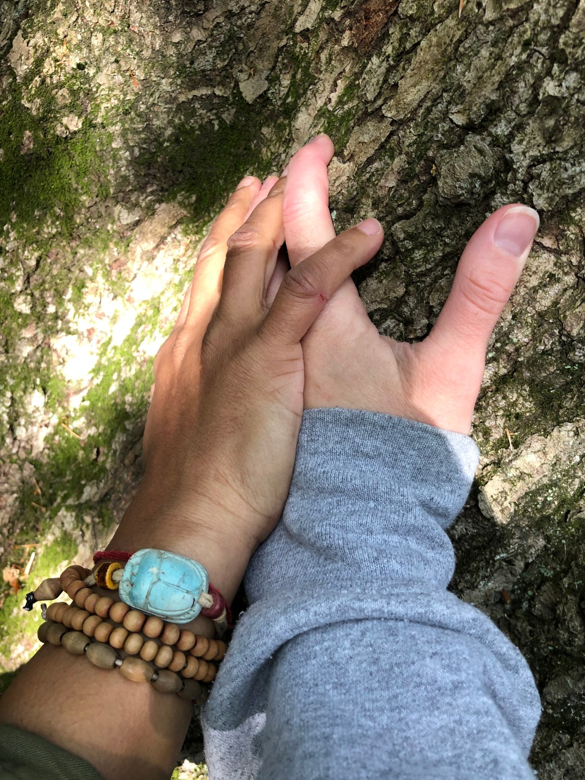 F84C1B98-03DD-4345-A866-3220C8BEF389